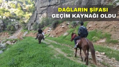 KATIR SIRTINDA ŞİFA YOLCULUĞU