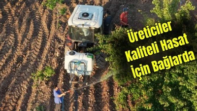 BAĞLARDA İLA&Ccedil;LAMA MESAİSİ BAŞLADI