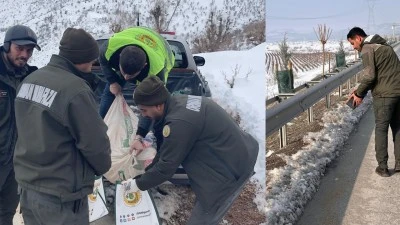 YABAN HAYATI 24 SAAT KORUMA ALTINDA