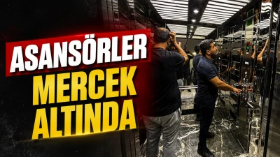 ASANS&Ouml;RLER MERCEK ALTINDA