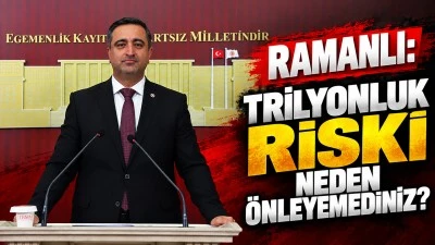 RAMANLI: TRİLYONLUK RİSKİ NEDEN &Ouml;NLEYEMEDİNİZ?