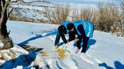 SOĞUK HAVALARDA SOKAK HAYVANLARI İ&Ccedil;İN SEFERBERLİK