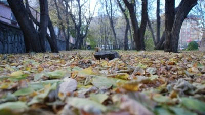 T&Uuml;RKİYE GENELİNDE YAĞIŞ BEKLENMİYOR