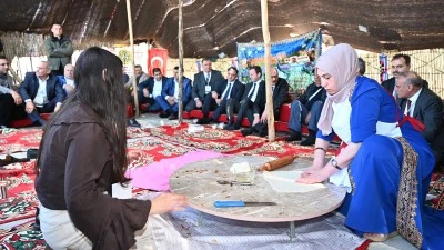 MERALAR VE G&Ouml;&Ccedil;ER K&Uuml;LT&Uuml;R KORUNMALI