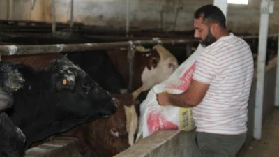 BESİCİLER ŞAP HASTALIĞINDAN ŞİKÂYETÇİ