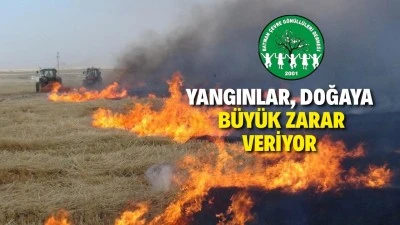 ANIZ YANGINLARINA KARŞI ÇEVRECİLER ÇAĞRIDA BULUNDU