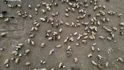 BAHAR UYARISI: İHMAL B&Uuml;Y&Uuml;K KAYIPLAR GETİRİYOR