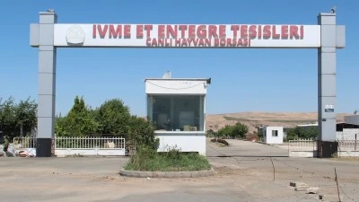 HAYVAN PAZARI YENİDEN AÇILDI