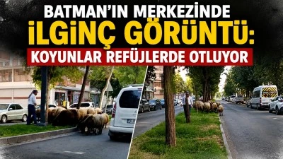 BATMAN&rsquo;IN MERKEZİNDE İLGİN&Ccedil; G&Ouml;R&Uuml;NT&Uuml;: