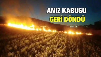 İKİ FARKLI NOKTADA ANIZ YANGINI