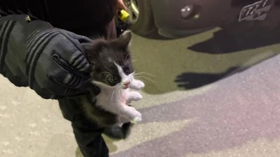 MOTOR B&Ouml;LMESİNE GİREN YAVRU KEDİ KURTARILDI