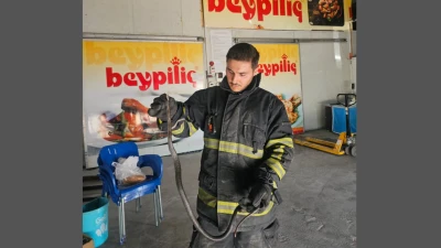 DEPOYA GİREN YILAN İTFAİYE EKİPLERİNİ HAREKETE GE&Ccedil;İRDİ
