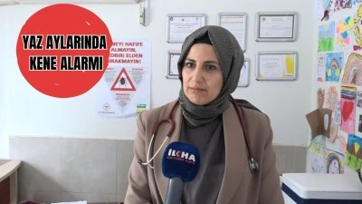 UZMANLAR UYARDI: KENEYE DİKKAT