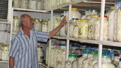 YAZ SICAĞINA KARŞI TULUM PEYNİRİNE SOĞUK KORUMA
