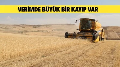 KURAKLIK ÇİFTÇİYİ VURDU
