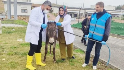 BELEDİYE KORUMAYA ALDI