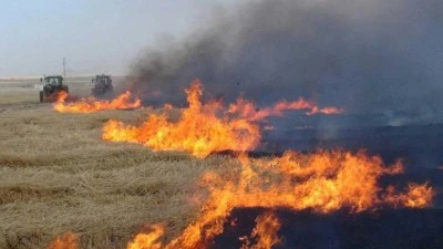 EKİNLER KURUMAYA BAŞLADI, ANIZ YANGINI TEHLİKESİ ARTIYOR