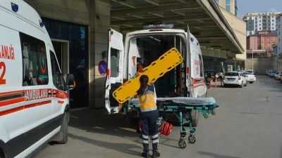 HAYVAN OTLATIRKEN HAYATINI KAYBETTİ