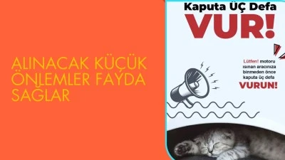 KIŞ AYLARINDA SOKAK HAYVANLARI İÇİN UYARI