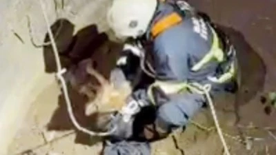 SU KUYUSUNA DÜŞEN ÇAKAL KURTARILDI