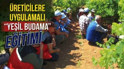 &Uuml;RETİCİLERE UYGULAMALI "YEŞİL BUDAMA" EĞİTİMİ