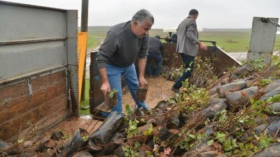 BADEM VE FISTIK FİDANLARIYLA ORMAN K&Ouml;YL&Uuml;LERİNE DESTEK