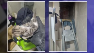 HAVALANDIRMA BOŞLUĞUNA DÜŞEN KEDİ KURTARILDI