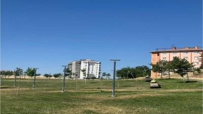 150 DÖNÜMLÜK ALANDA ÇİM BİÇME ÇALIŞMASI