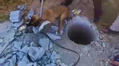 AKOBA KÖYÜ’NDE KUYUYA DÜŞEN KÖPEK KURTARILDI 