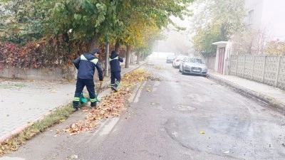 TEMİZLİK KAMPANYASI BAHÇELİEVLER’DE UYGULANDI