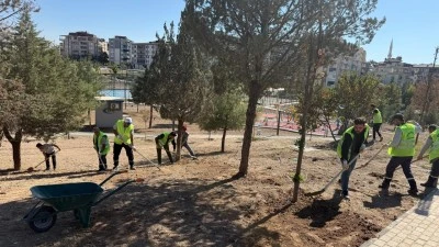 146 BİN METREKARELİK ALANDA BAKIM ÇALIŞMASI