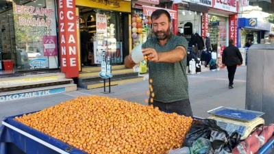 ALIÇ MEVSİMİ SONA ERİYOR