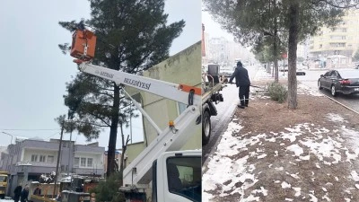 KIŞ ŞARTLARINA KARŞI YEŞİL ALANLARI G&Uuml;&Ccedil;LENDİRİYOR