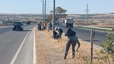 GÜNEY ÇEVRE YOLU’NDA TEMİZLİK ÇALIŞMASI YAPILDI