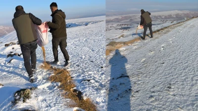 YABAN HAYATI İ&Ccedil;İN SEFERBERLİK