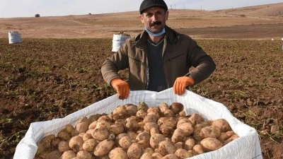 PATATES FİYATLARIYLA İLGİLİ BAKANLIKTAN AÇIKLAMA