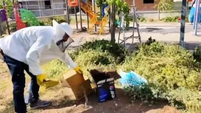 İLA&Ccedil;LAMA DURDURULDU, ARILAR KURTARILDI