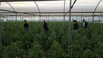 SERA &Uuml;RETİCİLERİNE HASTALIK UYARISI