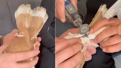 AYAĞINA SIKIŞAN DEMİR BİLEZİK KESİLDİ