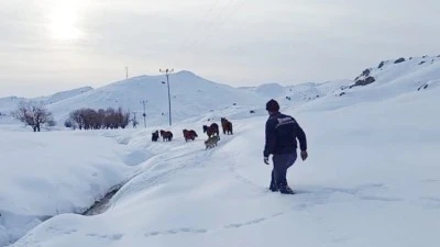 KARDA MAHSUR KALAN KATIRLAR KURTARILDI