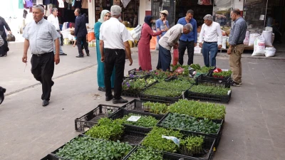 FİYATLAR DÜŞMESİNE RAĞMEN SATIŞ OLMUYOR