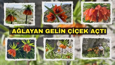 &Ouml;MR&Uuml; KISA, G&Uuml;ZELLİĞİ B&Uuml;Y&Uuml;LEYİCİ