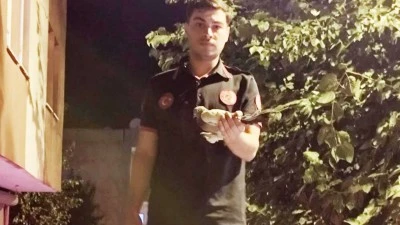 AĞACA TAKILAN GÜVERCİN KURTARILDI