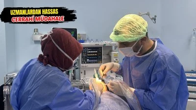 17 YAŞINDAKİ HASTAYA BAŞARILI M&Uuml;DAHALE