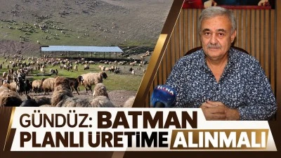 G&Uuml;ND&Uuml;Z: BATMAN PLANLI &Uuml;RETİME ALINMALI