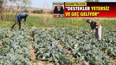 AYDİŞ: ÇİFTÇİLER CİDDİ SIKINTIDA