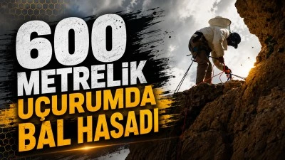 600 METRELİK U&Ccedil;URUMDA BAL HASADI