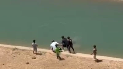 SULAMA KANALINDA CAN PAZARI