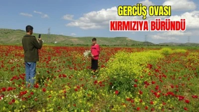 GERC&Uuml;Ş OVASI'NDA BAHARIN RENKLERİ