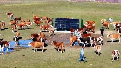 HAYVANCILIĞA KALICI SU DESTEĞİ